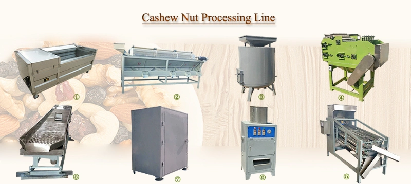 Low Price Cashew Nut Processing Line Cashew Roasting Drying Machine Price