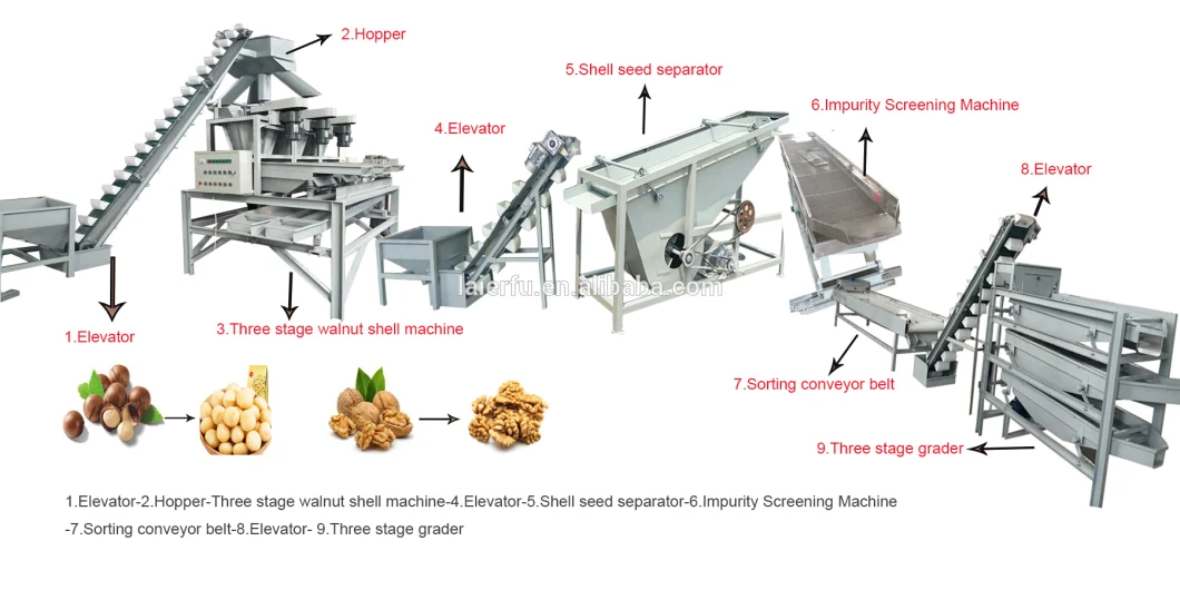 Cashew Nut Slicer Nut Slicer Machine/Take off Almond Peeling Machine