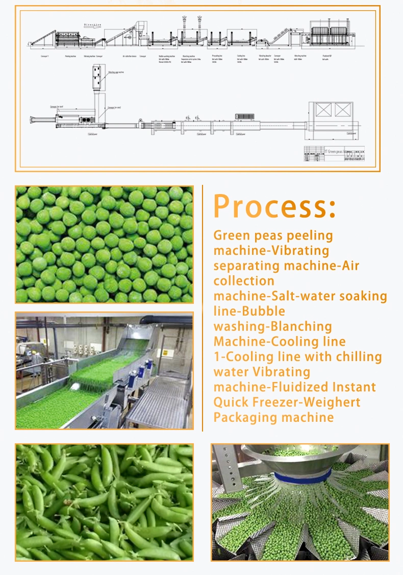 Automatic Frozen Multi Fruit and Vegetable Salad Washing Cutting Slicer Drying Processing Making Machine Air Cleaning Sorting Production Line