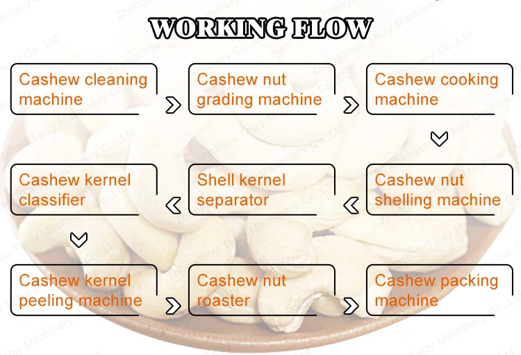 Full Automatic Cashew Nut Processing Line Cashew Shelling and Peeling Production Line