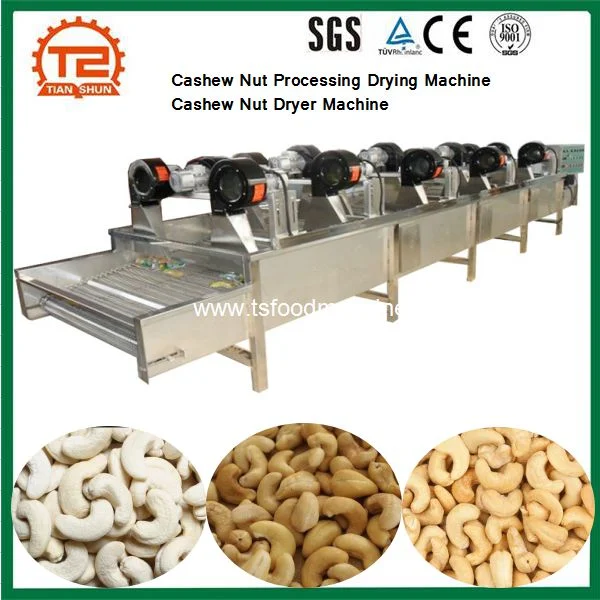 Cashew Nut Processing Drying Machine Cashew Nut Dryer Machine Price