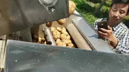 Croustilles automatiques faisant la machine Frites françaises faisant la machine continue de friteuse d'équipement