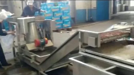 Ligne complète de machine de production de séchage de lavage de classement de nettoyage de mûre de raisin sec