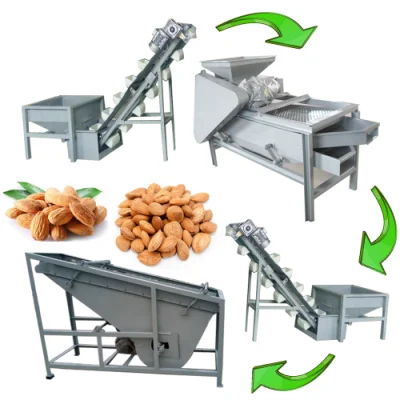 Trancheuse de noix de cajou trancheuse de noix/machine à éplucher les amandes